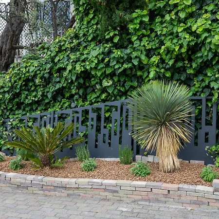 Mont Des Olives - Cap D'ail- App7 *