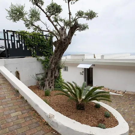 Mont Des Olives - Cap D'ail- App7